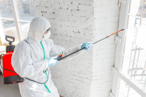 Best Mold Removal for HVAC Installations  in Piketon, OH