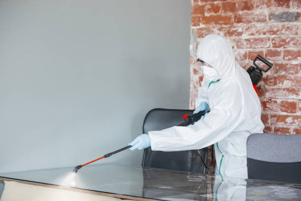 Best Forensic Mold Investigation  in Piketon, OH