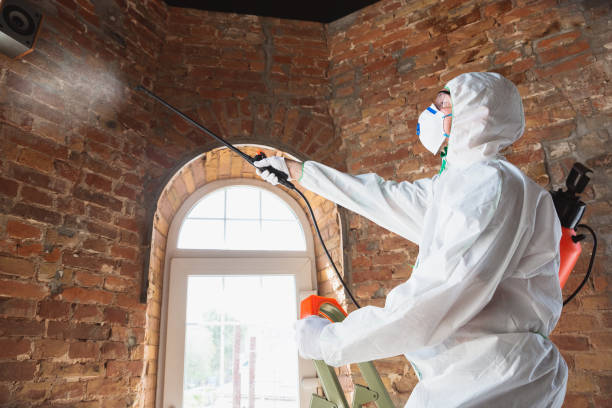 Best Mold Remediation for Healthcare Facilities  in Piketon, OH