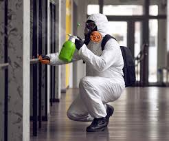 Best Emergency Mold Remediation  in Piketon, OH